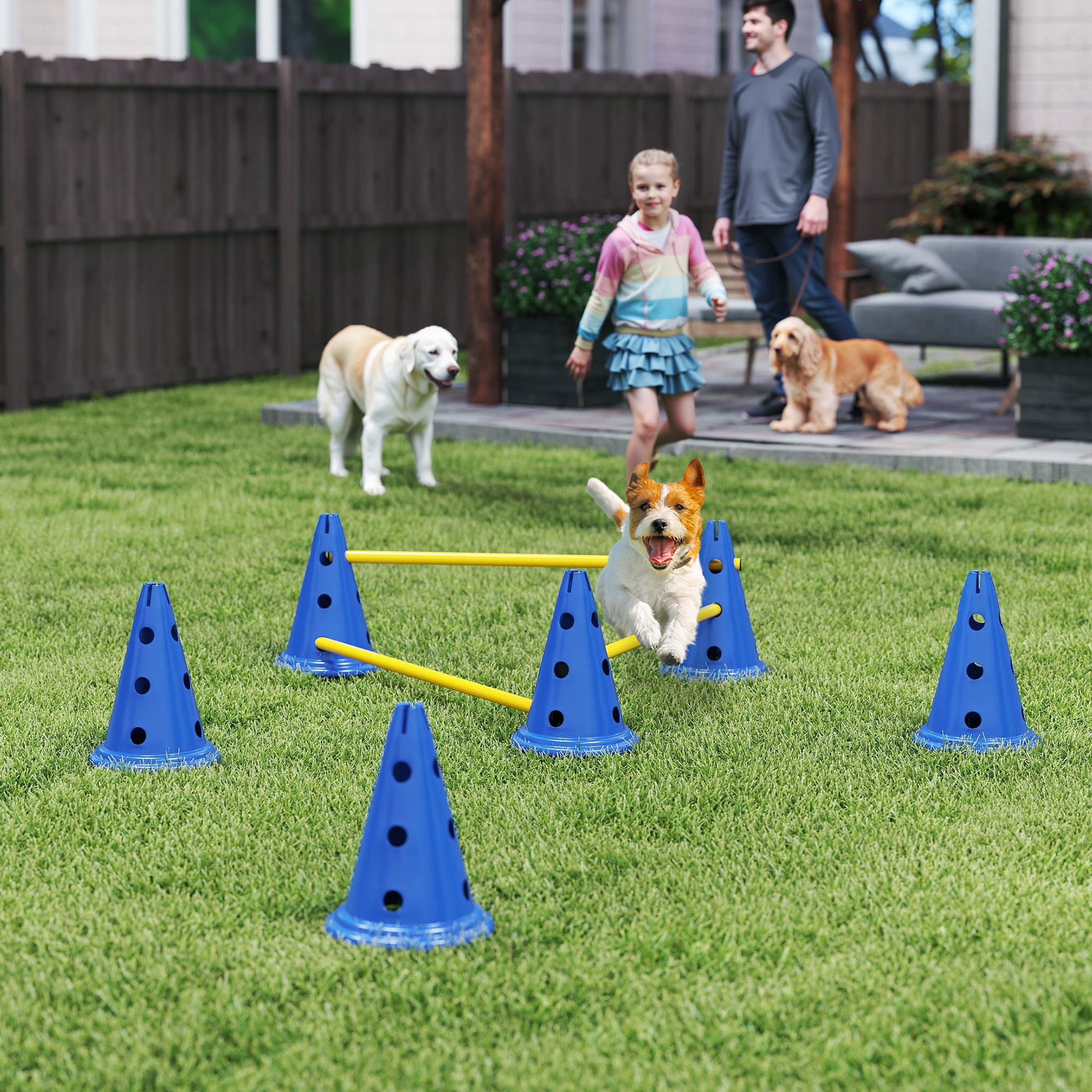 Adjustable Dog Agility Training Set with Carry Bag