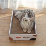 3-Piece Double-Sided Cat Scratcher Set