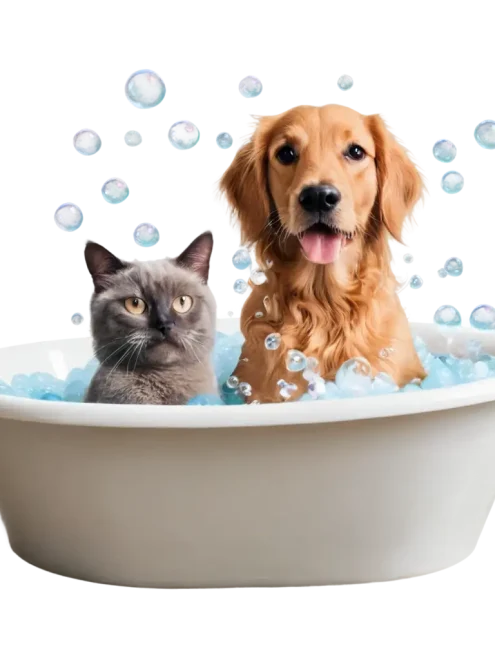 Grooming
